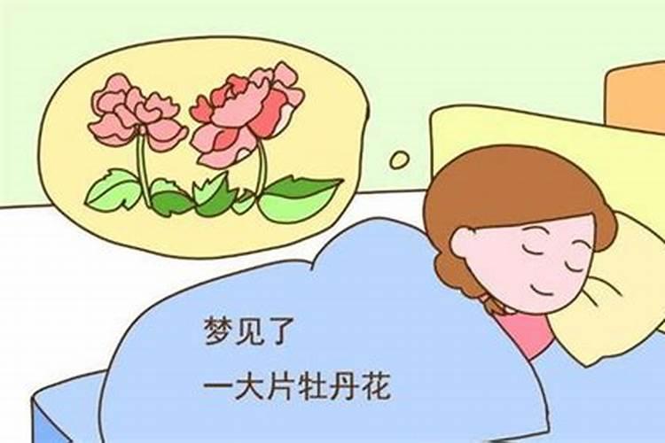 梦见别人备孕是什么征兆女