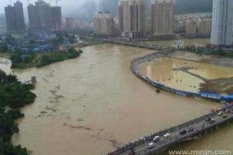 梦到下大雨大河涨水