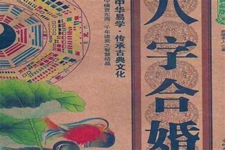 76年2024龙人全年运势如何