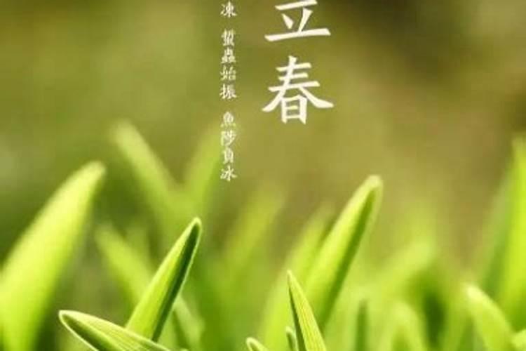 立春以后的节气是什么