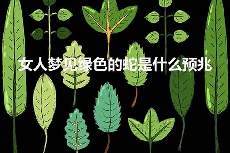 梦到受伤的大蟒蛇预示着什么预兆