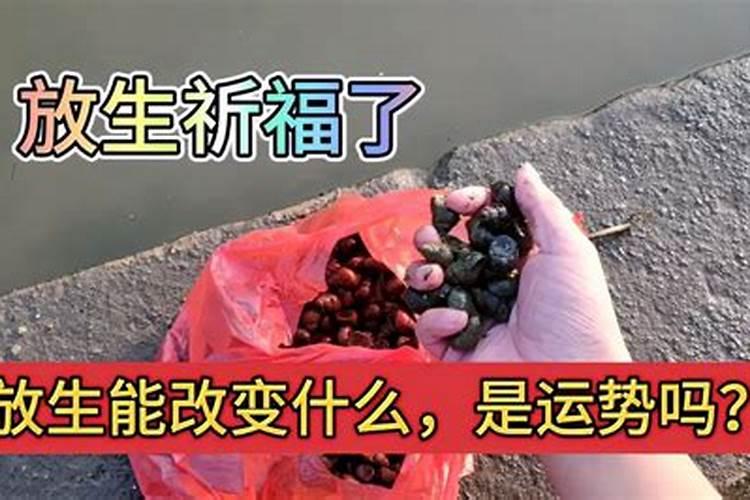 为什么放生后运势很差