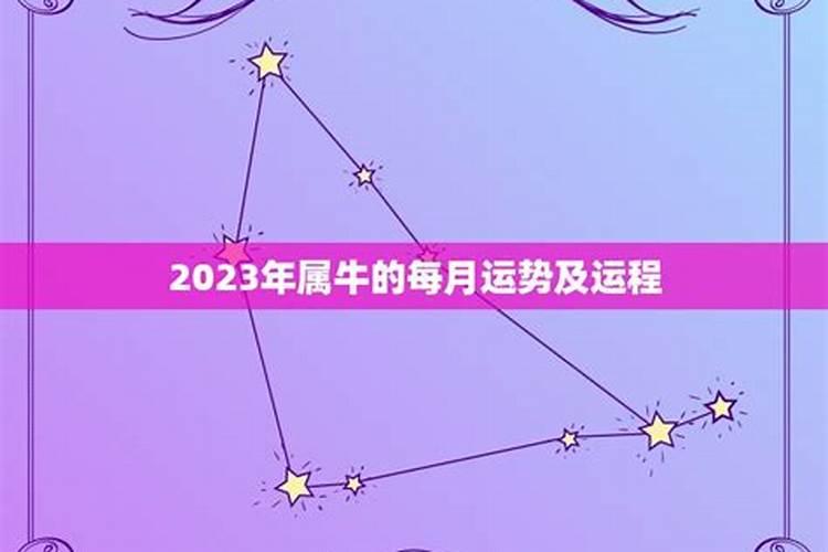 1985牛2023年运势及运程