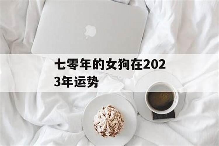 七零年属狗的女人2023年的运程怎么样