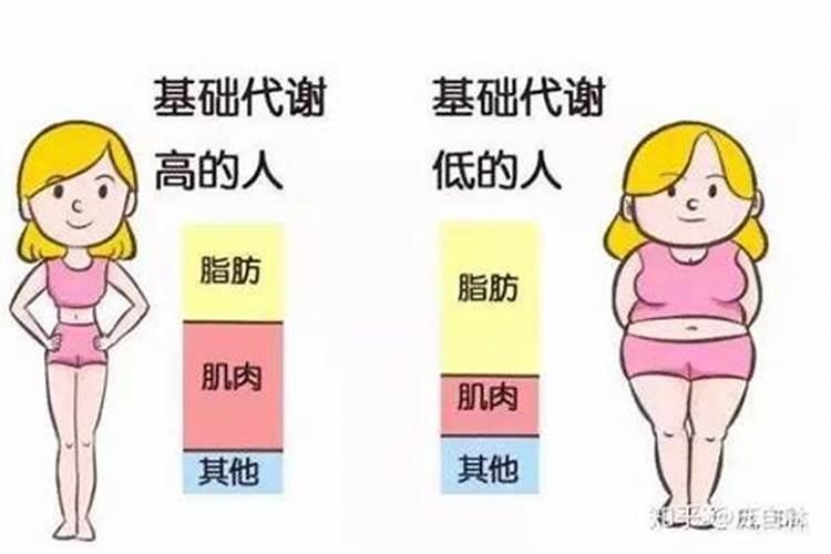 命里偏财多的女人苦吗