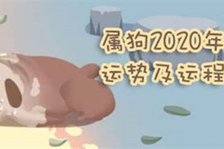 狗人2020年12月运势