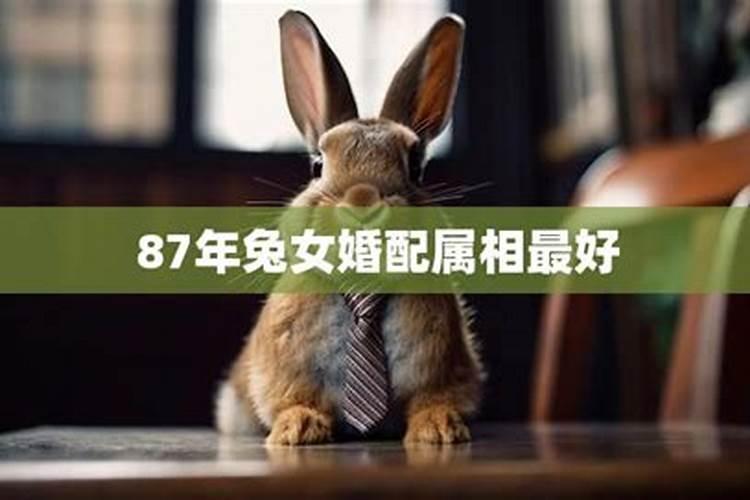 83猪与87兔合婚吗