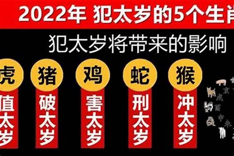 今年蛇年犯太岁吗2022年