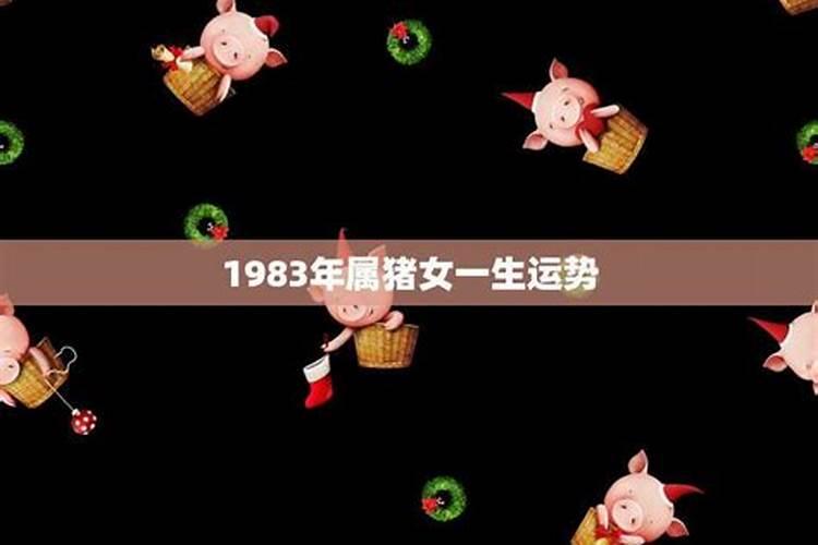 1983年属猪人一生运程怎样