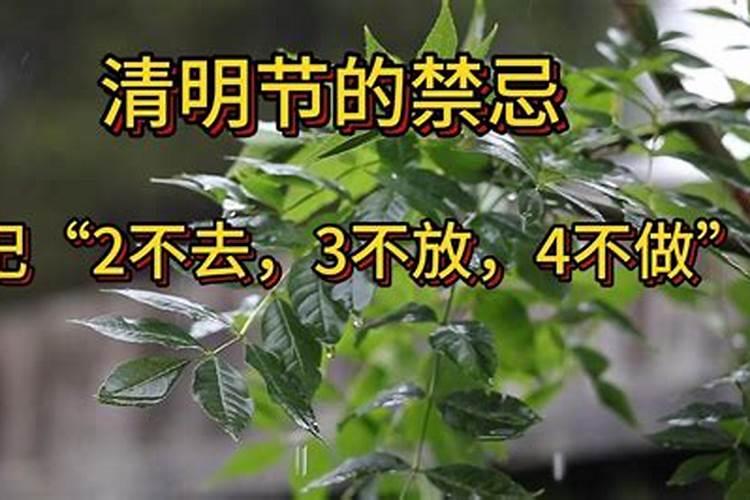 清明节禁忌