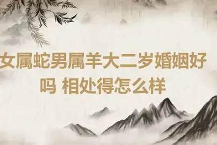 属鼠与属兔在今年运势