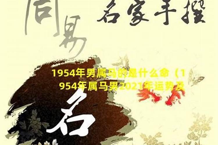 1954年属马在2021年运势