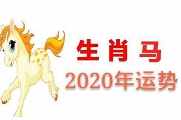 属马2023年运势方向