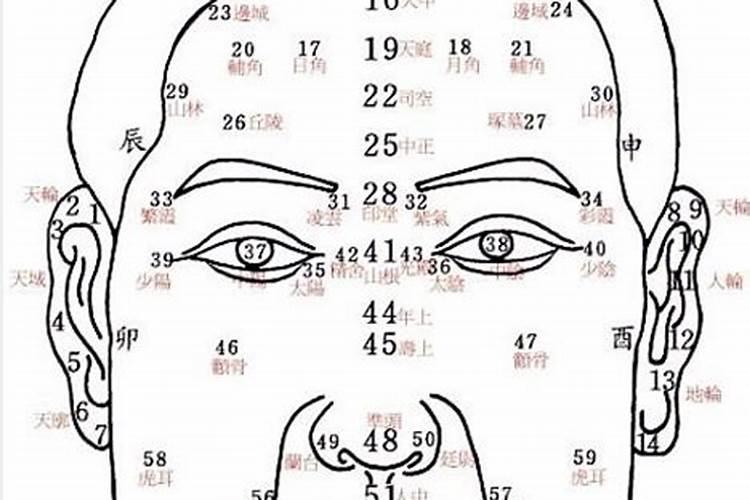 40岁面相运势怎走