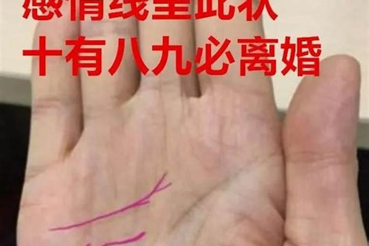 男属猴的和女属龙的相配吗好吗婚姻如何