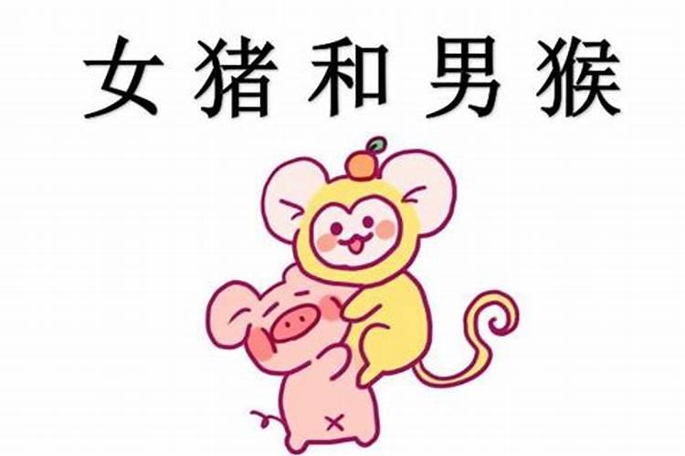 八字不合水倒流什么意思呢