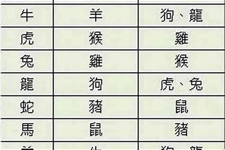 生肖属相可以相信吗