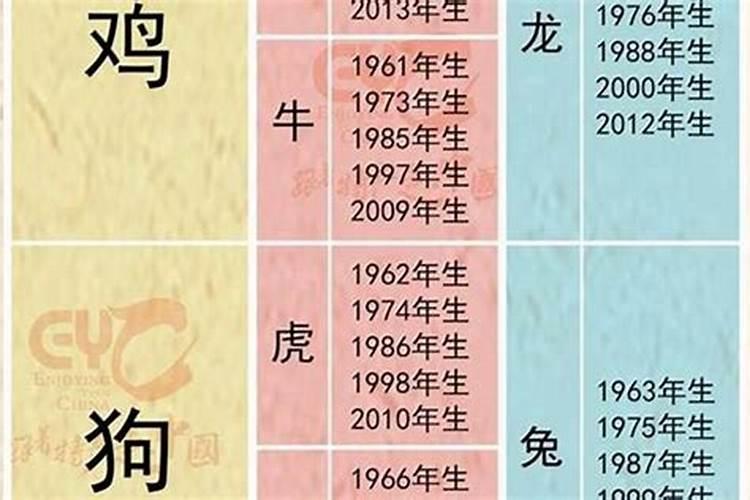 1995年七月十五命运