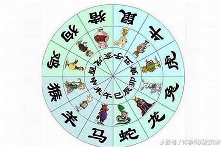 什么八字的人爱算命