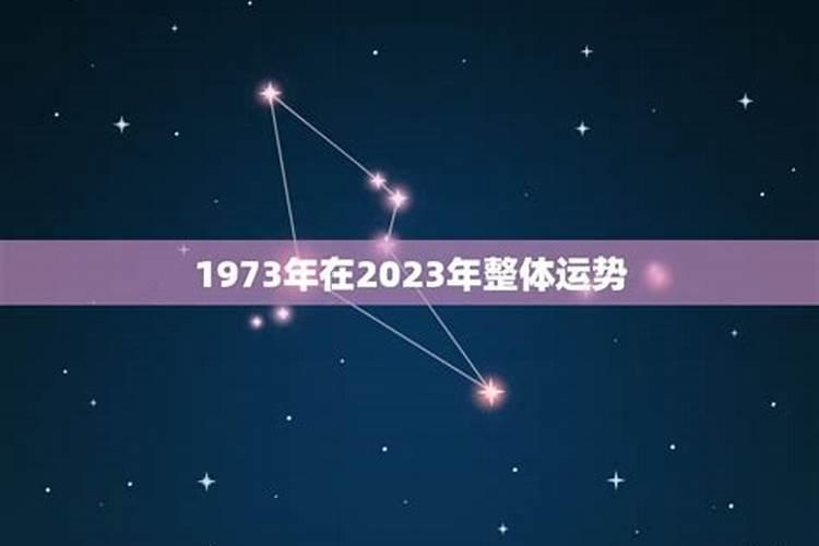 农历1987年12月22日属相