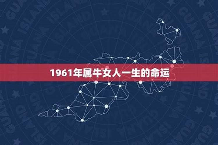 1961年生人2021年命运