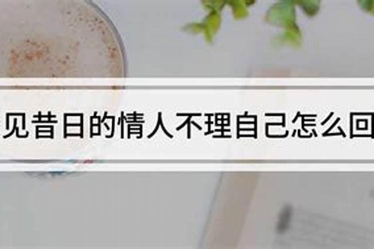 梦见情人不理我周公解梦