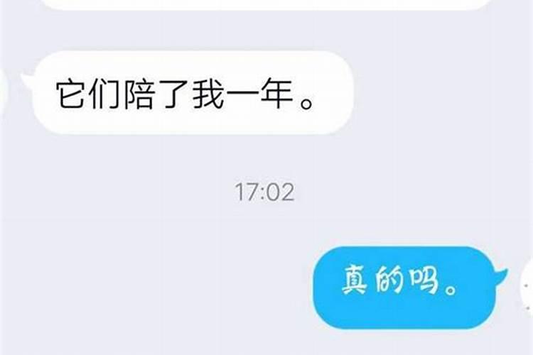 梦到了一个很久不联系的朋友