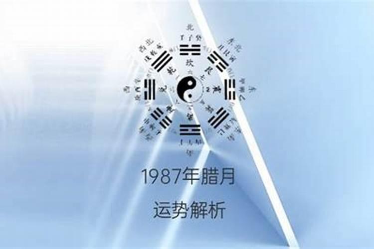 八字合不合的八字是什么意思