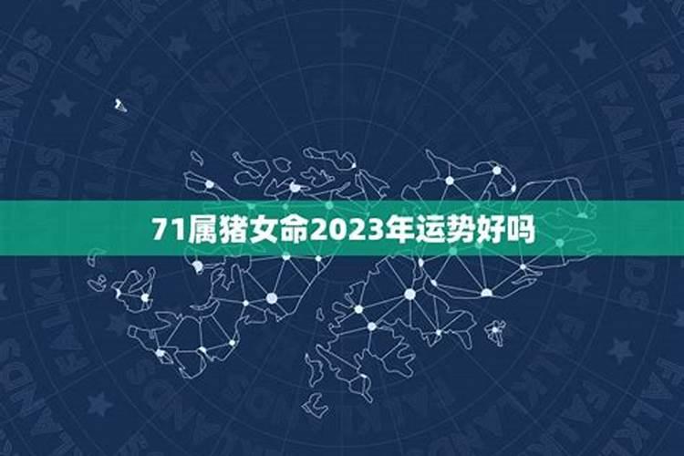 71年属猪女在2023年运势如何