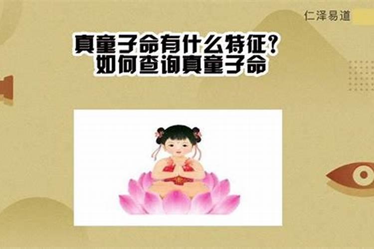 女猪男牛的婚姻相配吗