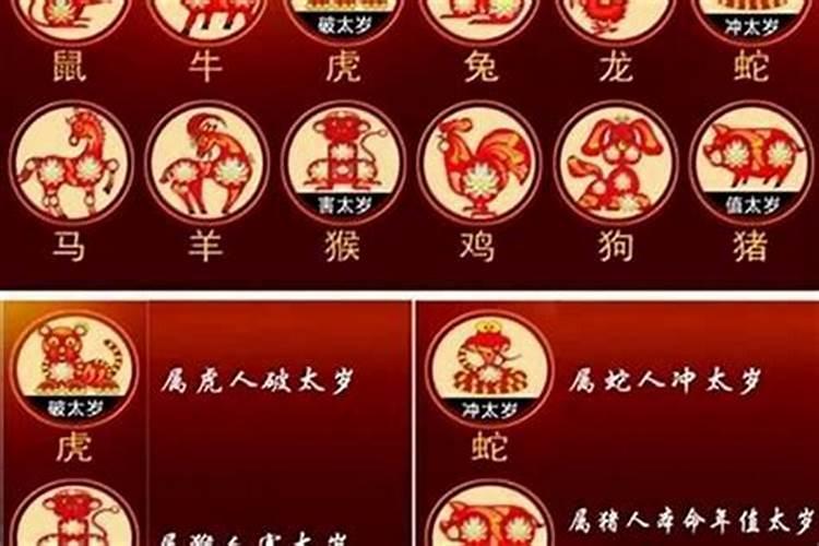 2023年属龙五行属什么