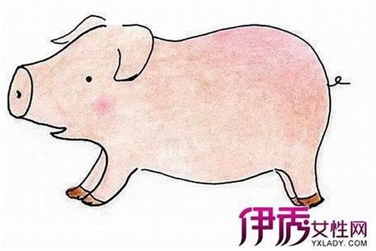 腊月的猪命好不好