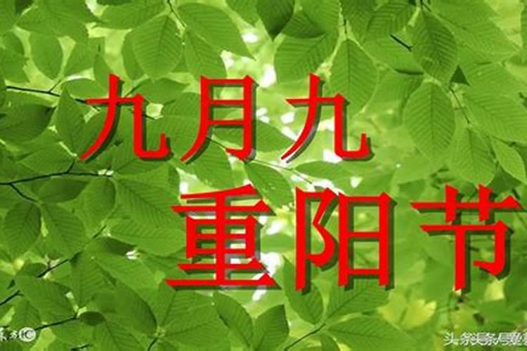 重阳节是纪念哪个名人的节日