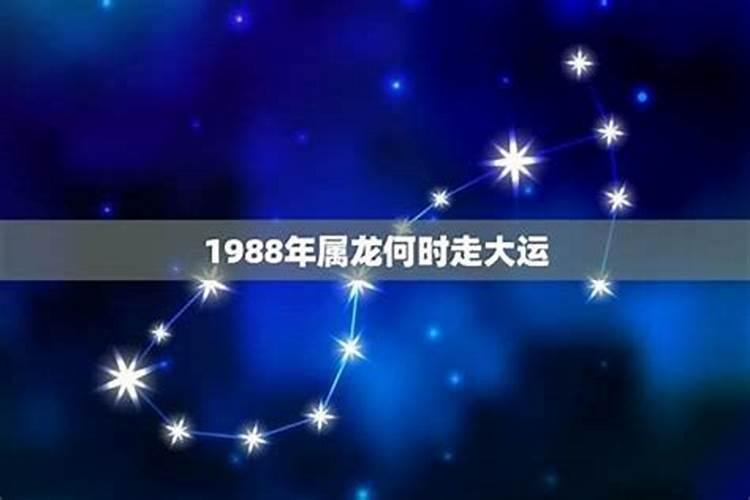 1984年出生的人今年的运势