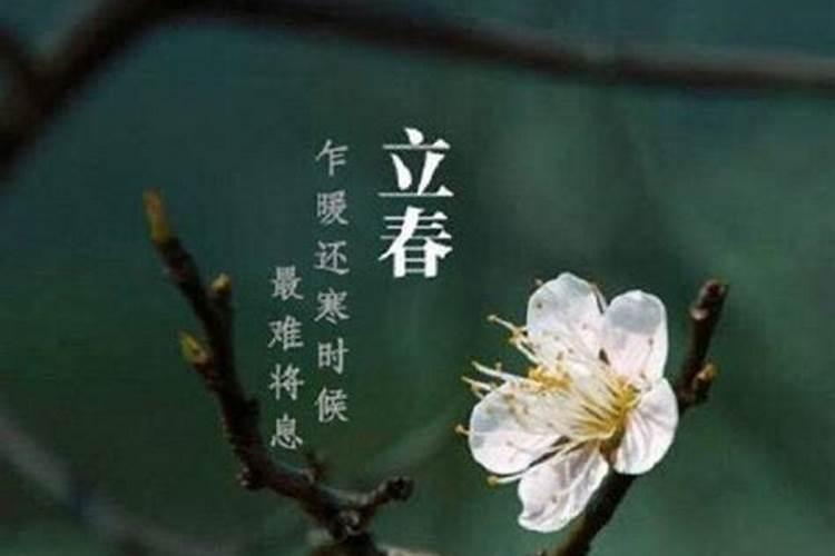 立春过后的节气是什么