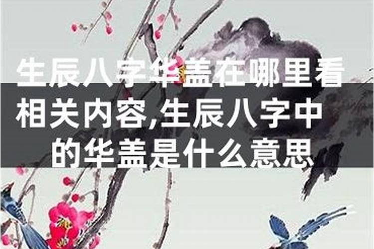 属鸡的十二月出生什么命格