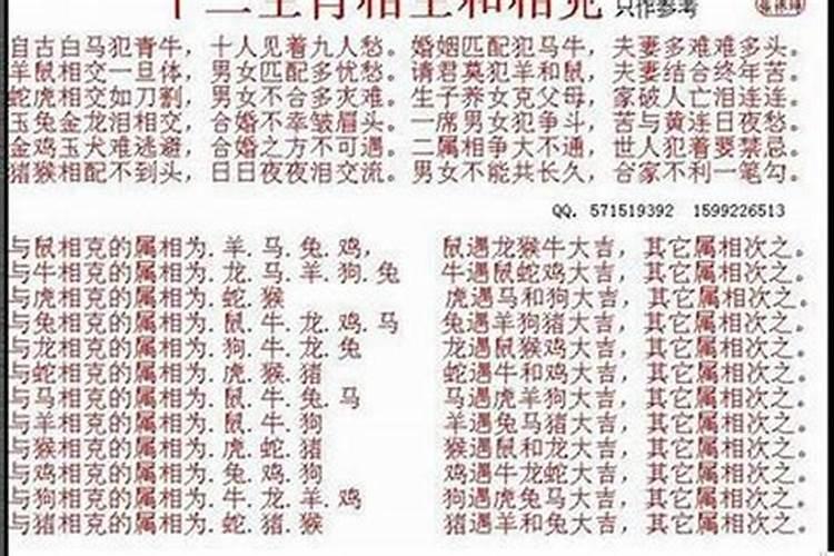 属狗和属免八字合不合