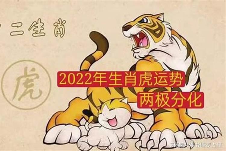 属虎运势2022年运程每月运程卜易网