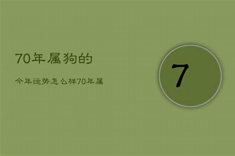 70年属zhu人今年运势