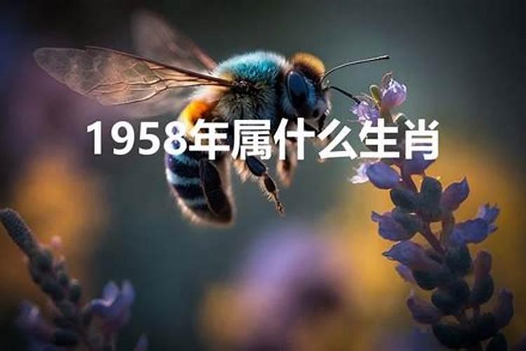 1958年是什么命五行属什么