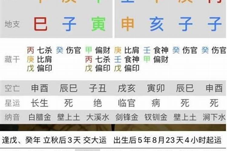 2023生肖鼠全年运势详解