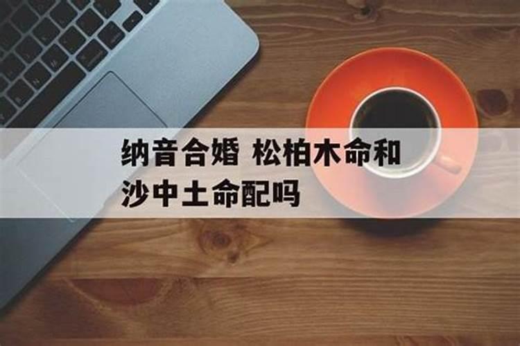 蛇进家是什么预兆怎么处理