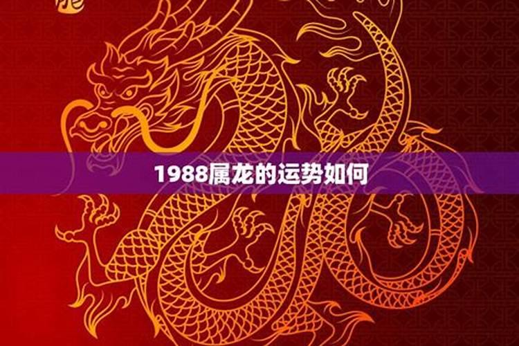 1988年属龙2023运势