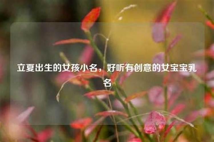 做梦梦到表弟结婚参加婚礼