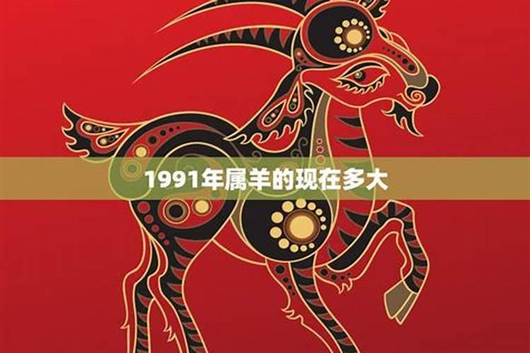 1991年羊人31岁后命运