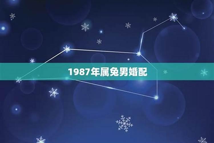 1987年兔男婚配属相