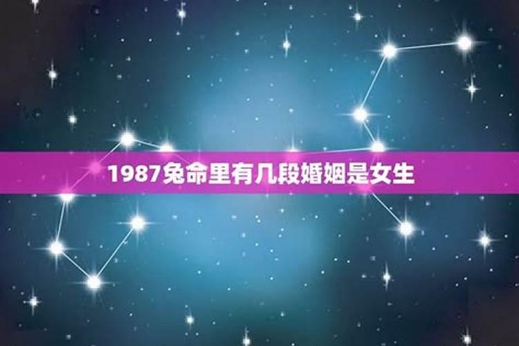 1987年兔男性格婚姻