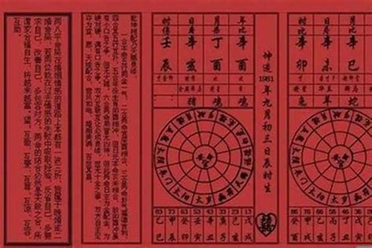 1977年属兔的人2023年运程