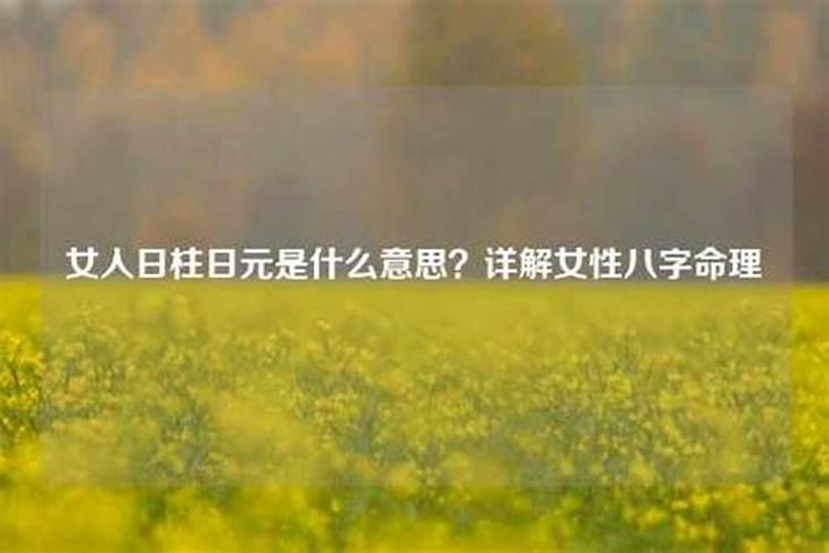 八字上的日元是什么意思啊