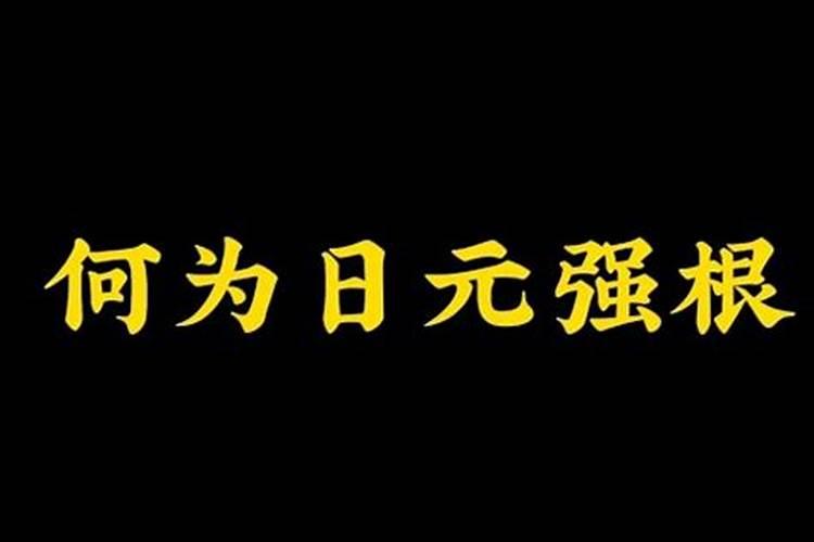 八字中什么是日元的根